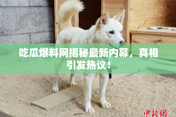 吃瓜爆料网揭秘最新内幕，真相引发热议！