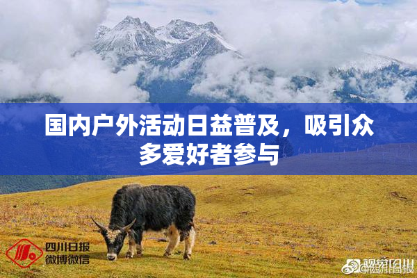 国内户外活动日益普及，吸引众多爱好者参与