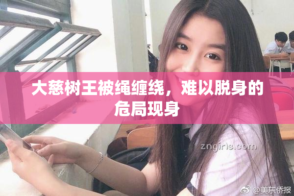 大慈树王被绳缠绕，难以脱身的危局现身