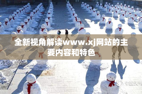 全新视角解读www.xj网站的主要内容和特色