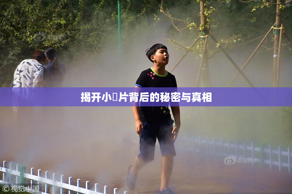 揭开小黃片背后的秘密与真相