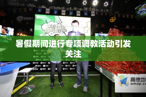 暑假期间进行专项调教活动引发关注