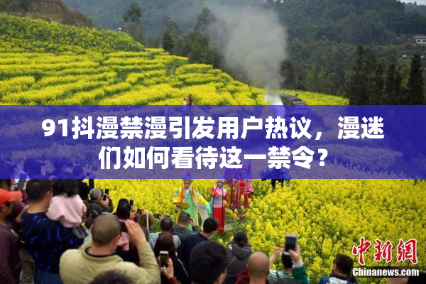 91抖漫禁漫引发用户热议，漫迷们如何看待这一禁令？