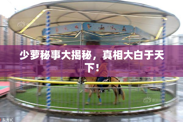 少萝秘事大揭秘，真相大白于天下！