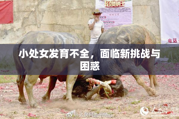 小处女发育不全，面临新挑战与困惑