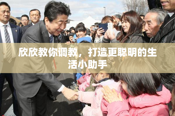 欣欣教你调教，打造更聪明的生活小助手