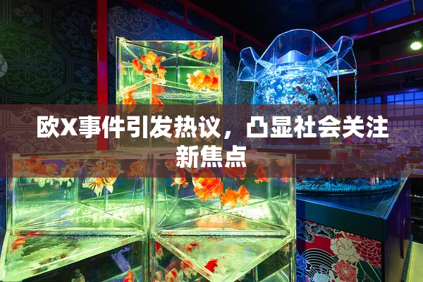 欧X事件引发热议，凸显社会关注新焦点