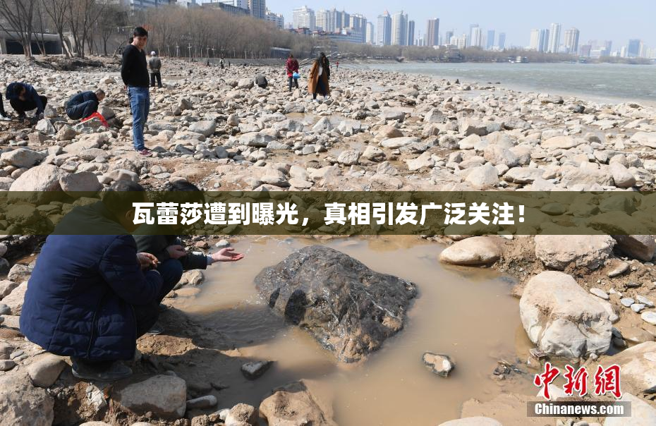 瓦蕾莎遭到曝光，真相引发广泛关注！