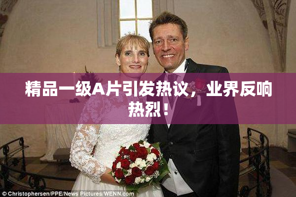 精品一级A片引发热议，业界反响热烈！