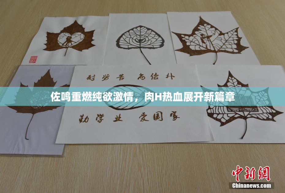 佐鸣重燃纯欲激情，肉H热血展开新篇章