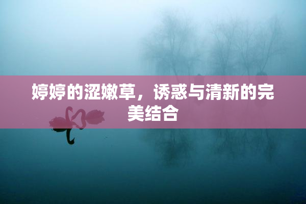 婷婷的涩嫩草，诱惑与清新的完美结合