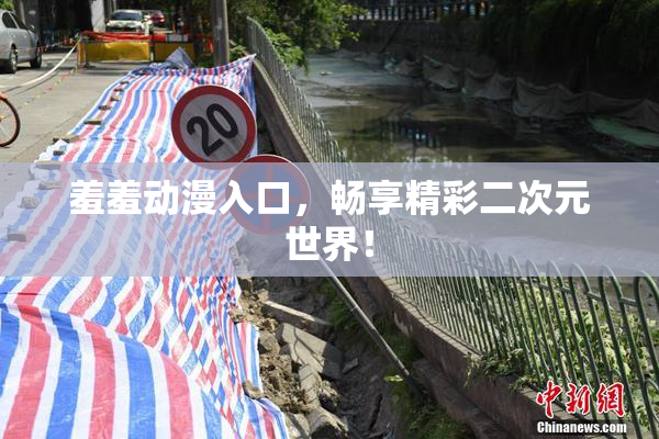 羞羞动漫入口，畅享精彩二次元世界！