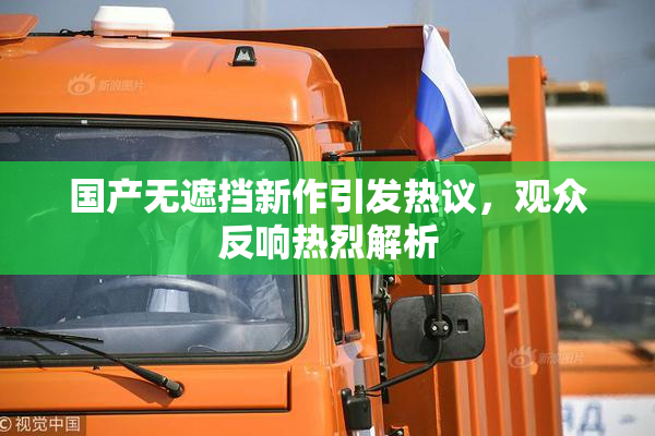国产无遮挡新作引发热议，观众反响热烈解析
