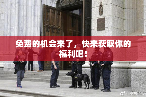 免费的机会来了，快来获取你的福利吧！