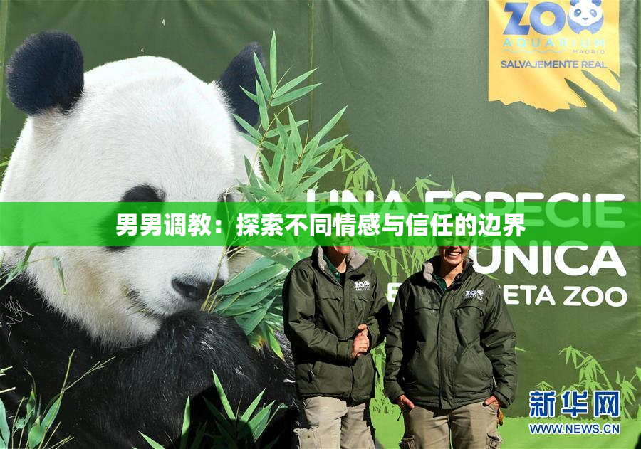 男男调教：探索不同情感与信任的边界