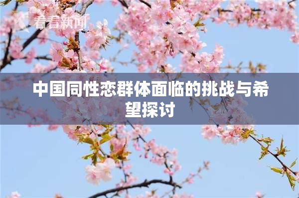 中国同性恋群体面临的挑战与希望探讨