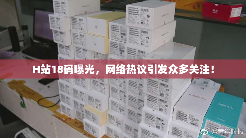 H站18码曝光，网络热议引发众多关注！