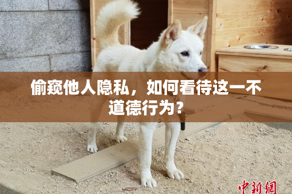 偷窥他人隐私，如何看待这一不道德行为？