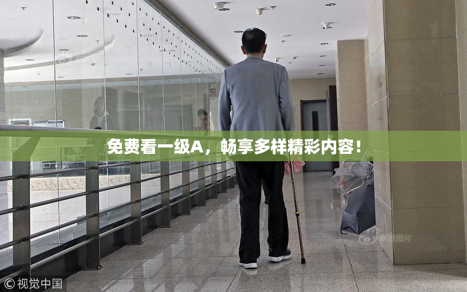 免费看一级A，畅享多样精彩内容！