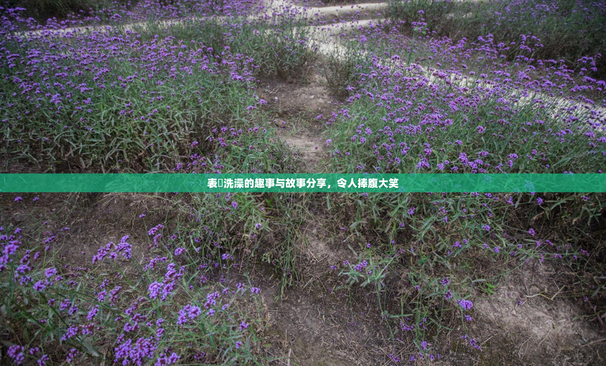 表妺洗澡的趣事与故事分享，令人捧腹大笑