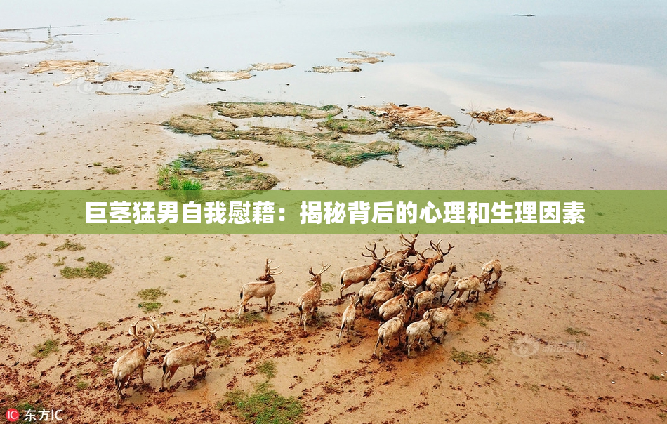 巨茎猛男自我慰藉：揭秘背后的心理和生理因素