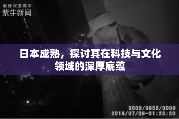 日本成熟，探讨其在科技与文化领域的深厚底蕴