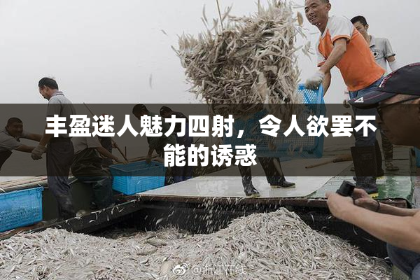 丰盈迷人魅力四射，令人欲罢不能的诱惑