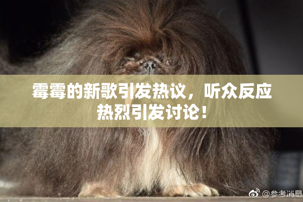 霉霉的新歌引发热议，听众反应热烈引发讨论！