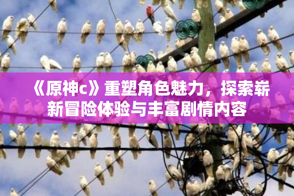 《原神c》重塑角色魅力，探索崭新冒险体验与丰富剧情内容