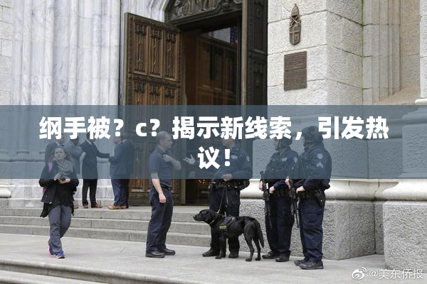 纲手被？c？揭示新线索，引发热议！