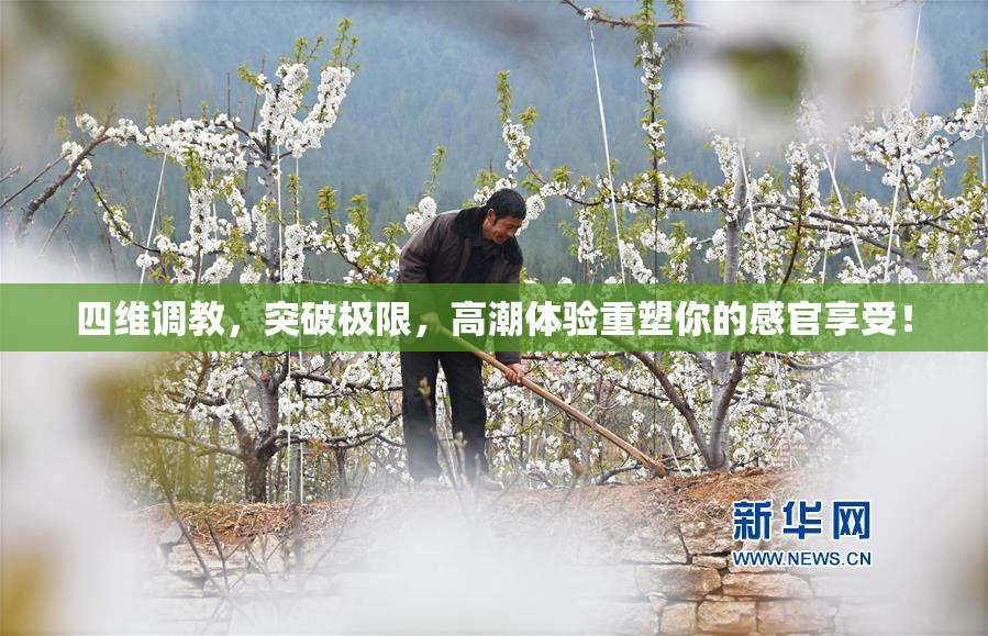 四维调教，突破极限，高潮体验重塑你的感官享受！