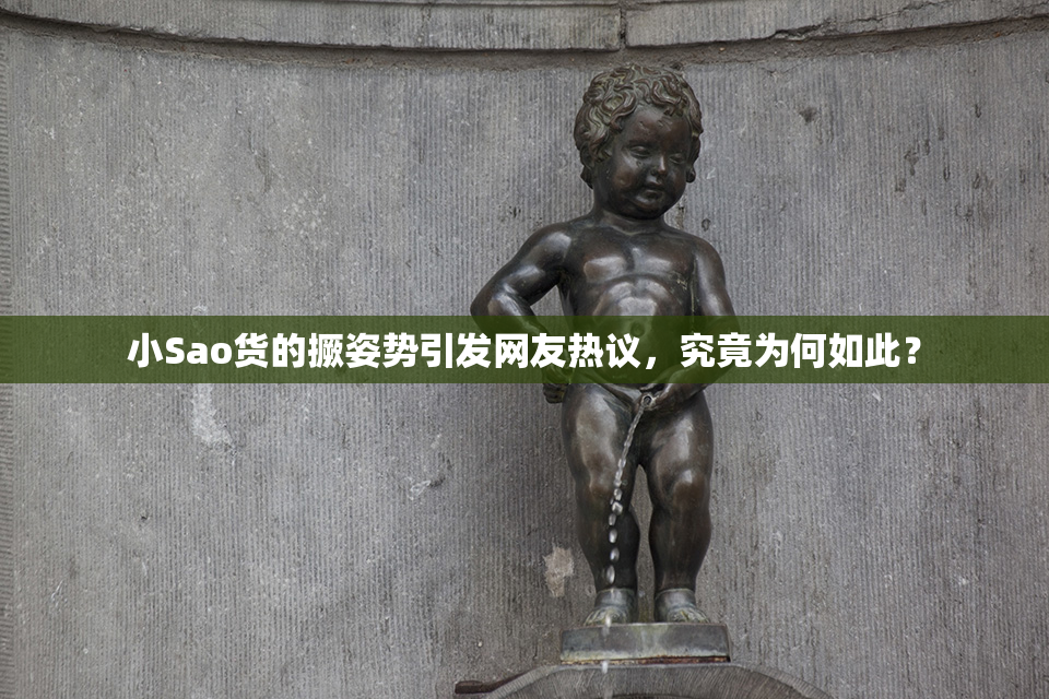 小Sao货的撅姿势引发网友热议，究竟为何如此？
