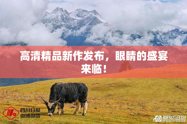 高清精品新作发布，眼睛的盛宴来临！