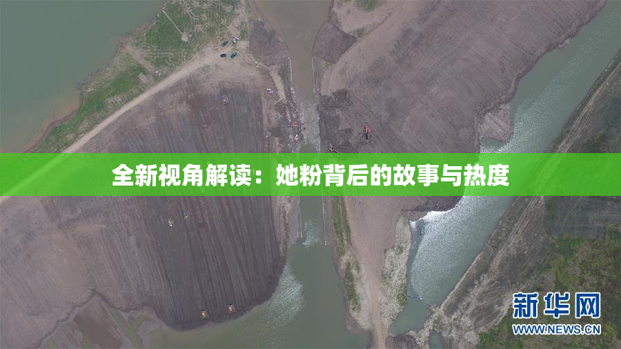 全新视角解读：她粉背后的故事与热度