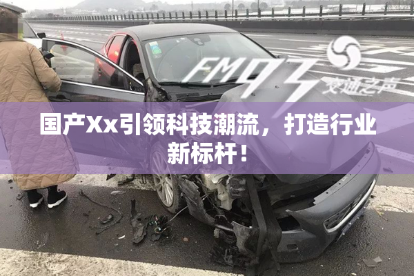 国产Xx引领科技潮流，打造行业新标杆！