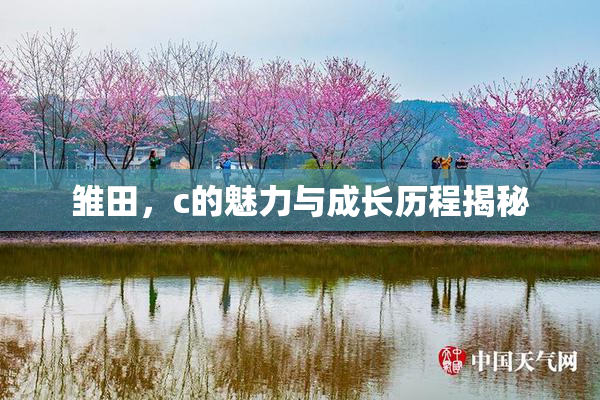 雏田，c的魅力与成长历程揭秘