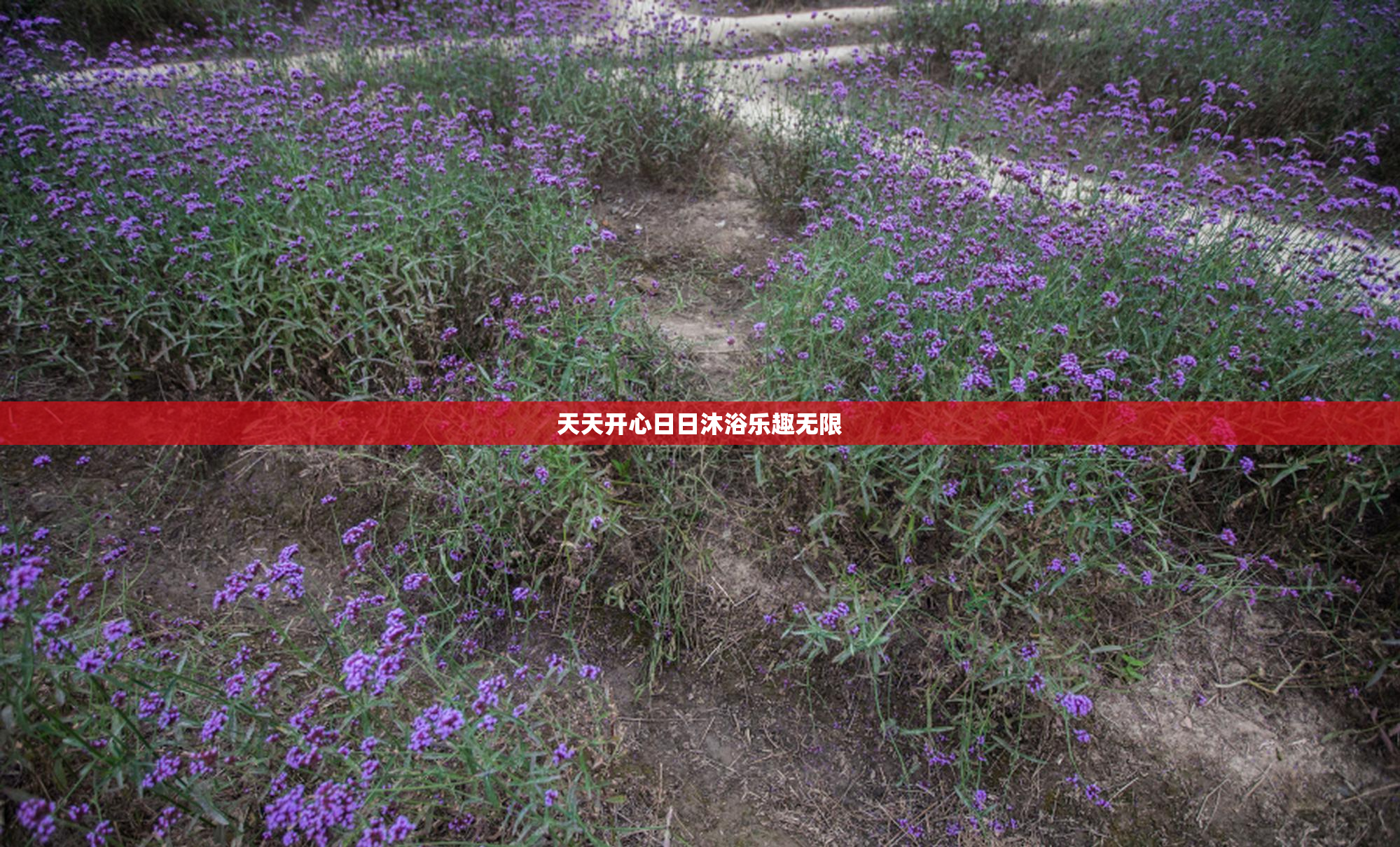 天天开心日日沐浴乐趣无限