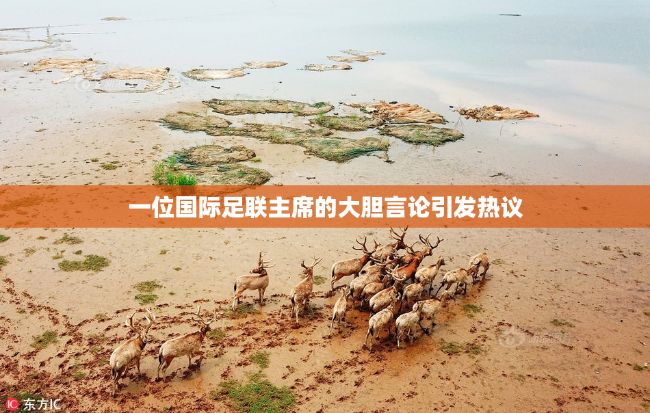 一位国际足联主席的大胆言论引发热议