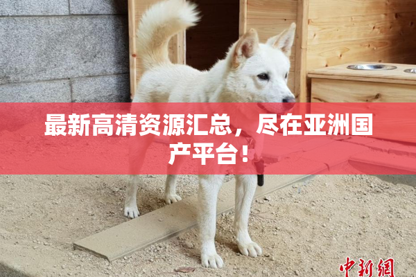最新高清资源汇总，尽在亚洲国产平台！
