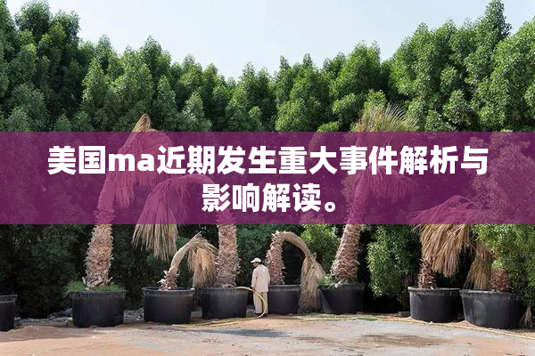 美国ma近期发生重大事件解析与影响解读。
