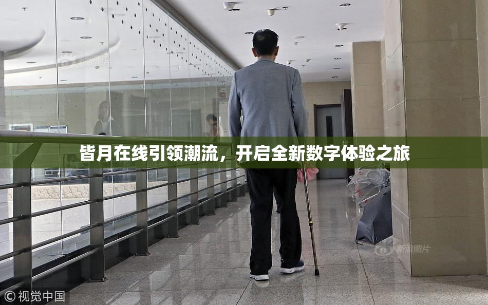 皆月在线引领潮流，开启全新数字体验之旅