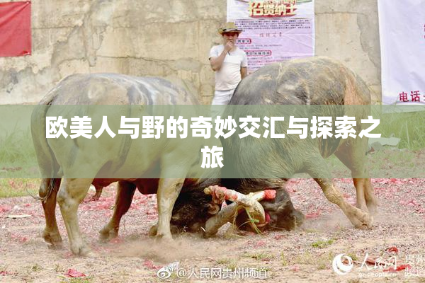 欧美人与野的奇妙交汇与探索之旅