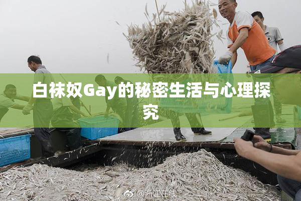 白袜奴Gay的秘密生活与心理探究