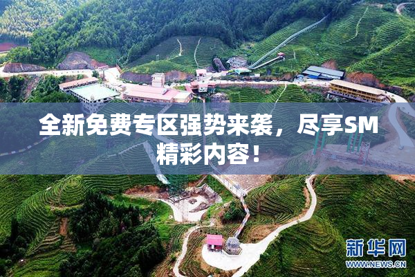 全新免费专区强势来袭，尽享SM精彩内容！