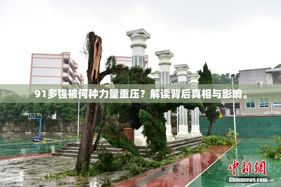 91多强被何种力量重压？解读背后真相与影响。