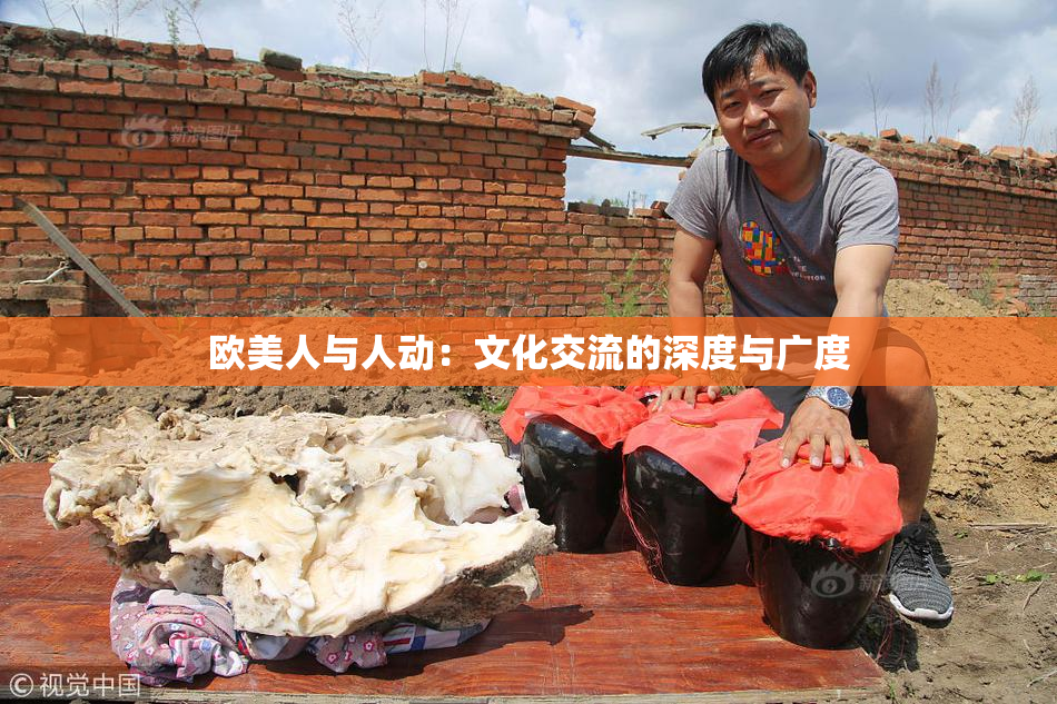 欧美人与人动：文化交流的深度与广度