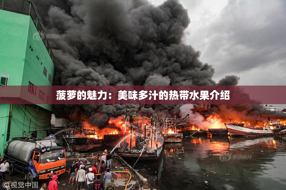 菠萝的魅力：美味多汁的热带水果介绍