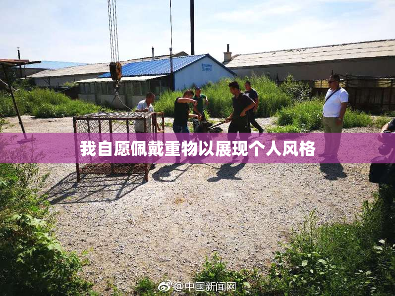 我自愿佩戴重物以展现个人风格