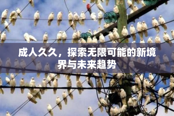 成人久久，探索无限可能的新境界与未来趋势