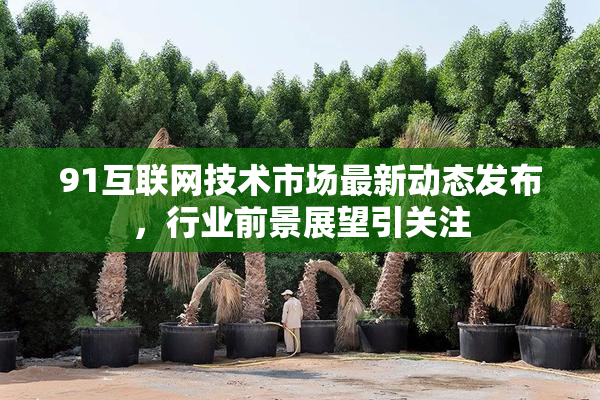 91互联网技术市场最新动态发布，行业前景展望引关注